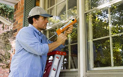 Leo's spider pest removal by Leo's Pest Control in Bristol TN