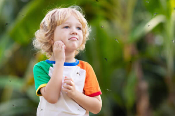 Preventing mosquito bites in your yard in Bristol TN; Call Leo's Pest Control