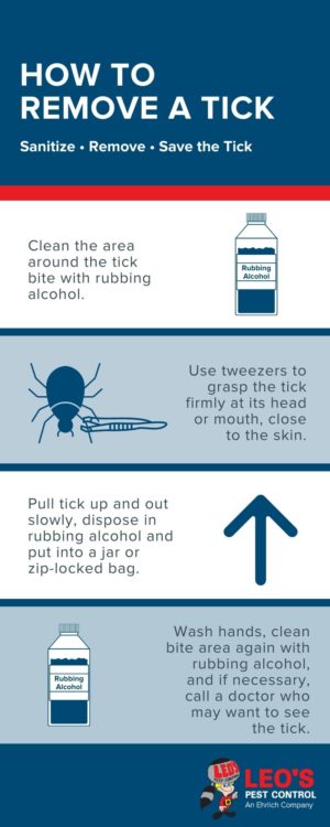 Tick removal guide - Leo's Pest Control in Bristol TN
