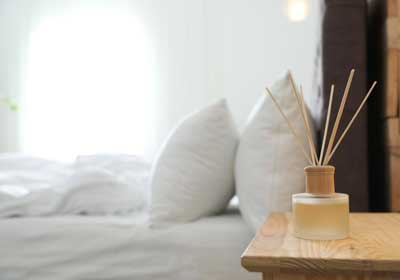 Prevent bed bugs naturally | Bristol TN | Leo's Pest Control