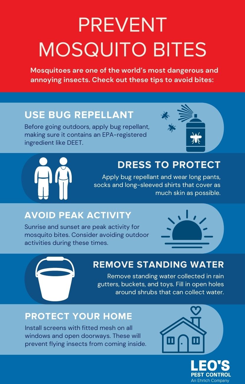 How to prevent mosquito bites in Bristol TN & VA - Leo's Pest Control