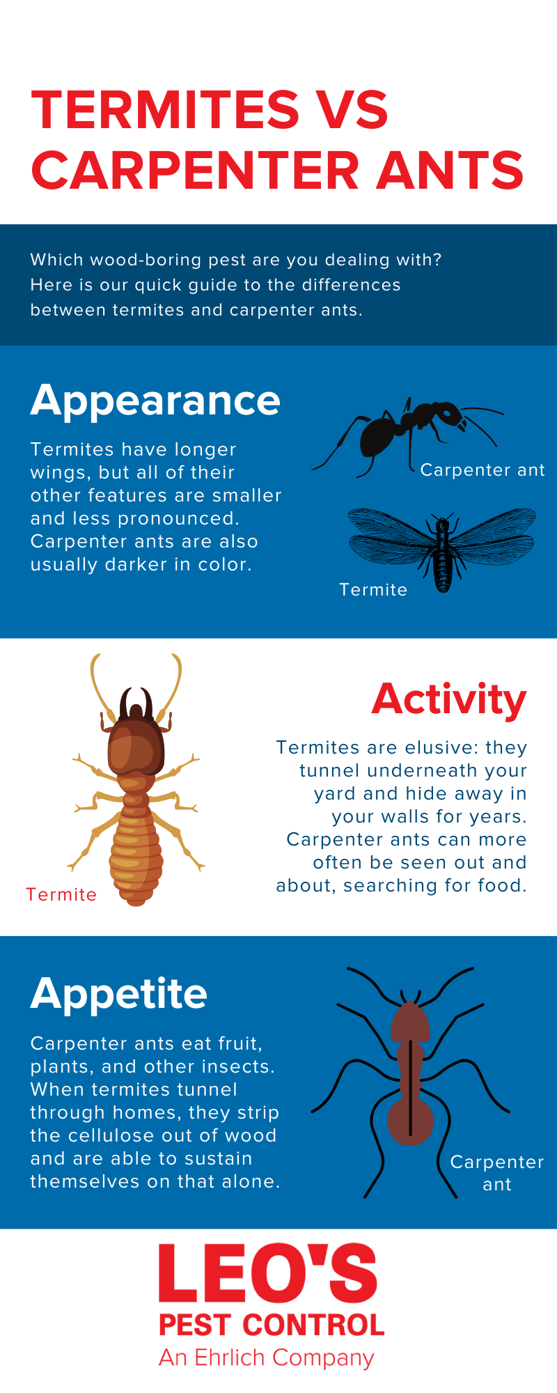 Carpenter ant vs termite infographic - Leo's Pest Control
